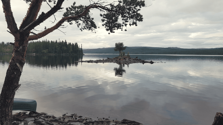 natur-retreat-urlaub-schweden (51)